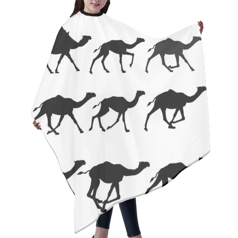 Personality  Vector Silhouettes Of Camels. Hair Cutting Cape