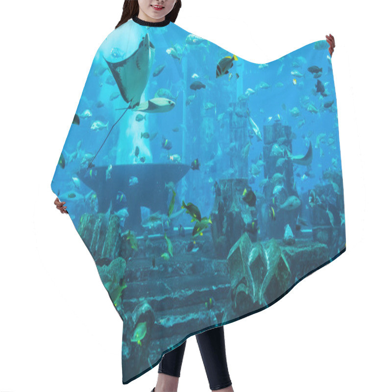 Personality  Stingray Fish. Aquarium Tropical Fish On A Coral Reef Hair Cutting Cape