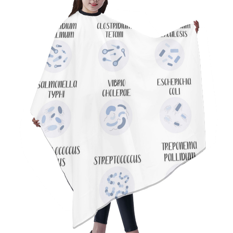 Personality  9 Most Pathogenic Bacteria: Escherichia Coli, Staphylococcus Aureus, Streptococcus, Clostridium, Salmonella. Dangerous Infections. Bacteriology. Morphology. Microbiology. Vector Flat Illustration Hair Cutting Cape