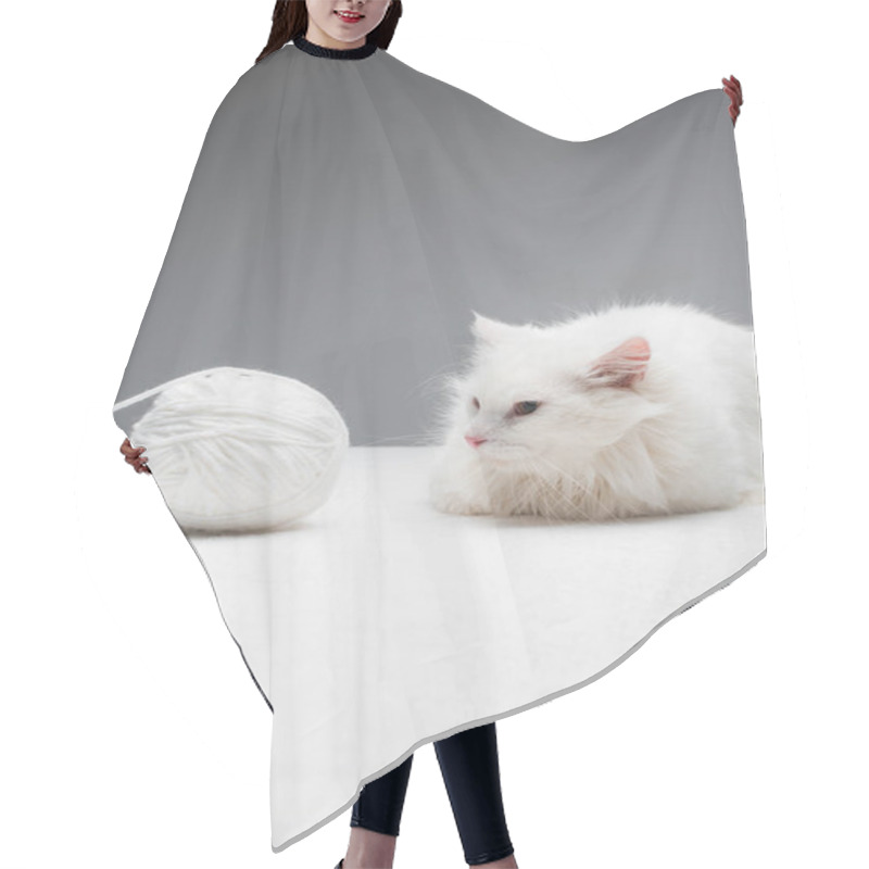 Personality  White Domestic Cat Near Tangled Ball Of Thread Isolated On Grey  Hair Cutting Cape