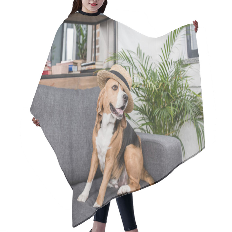 Personality  Beagle Dog In Hat  Hair Cutting Cape