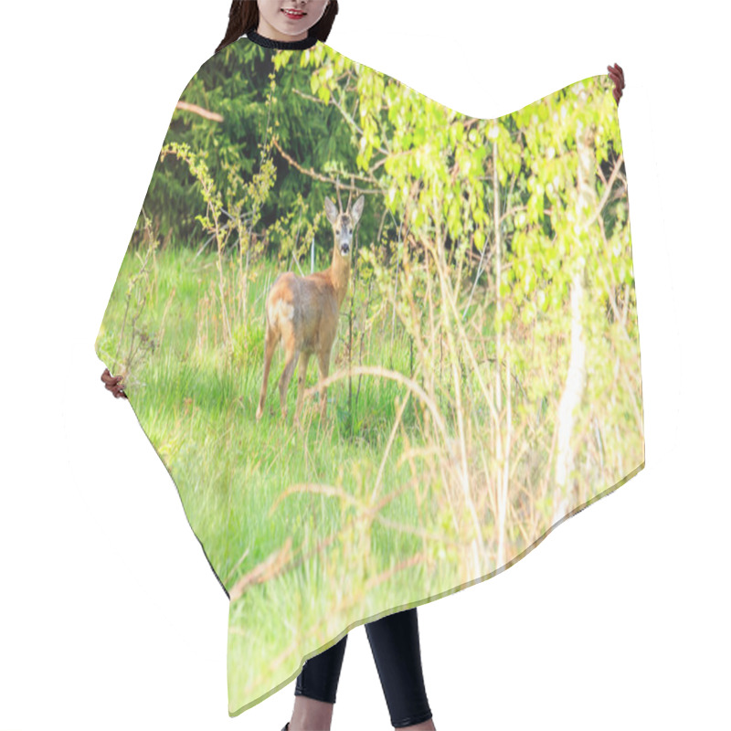 Personality  Whitetail Deer Fawn Hair Cutting Cape