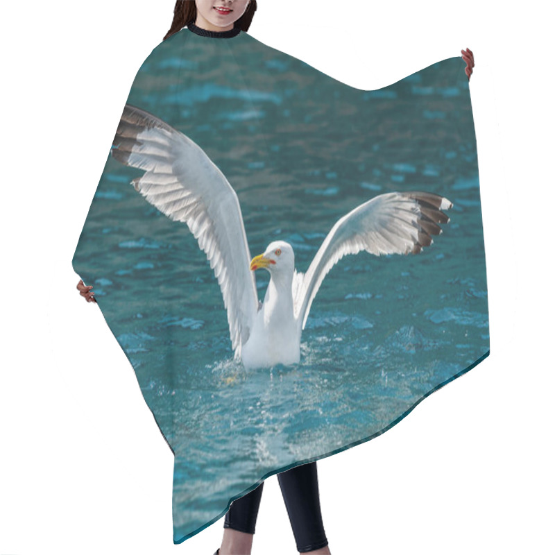 Personality  Gull Hunting Down Fish Hair Cutting Cape