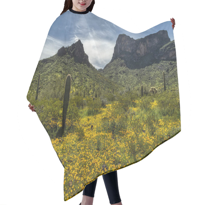 Personality  Spring Wildflowers At Picacho Peak State Park Near Phoenix, Arizona Hair Cutting Cape