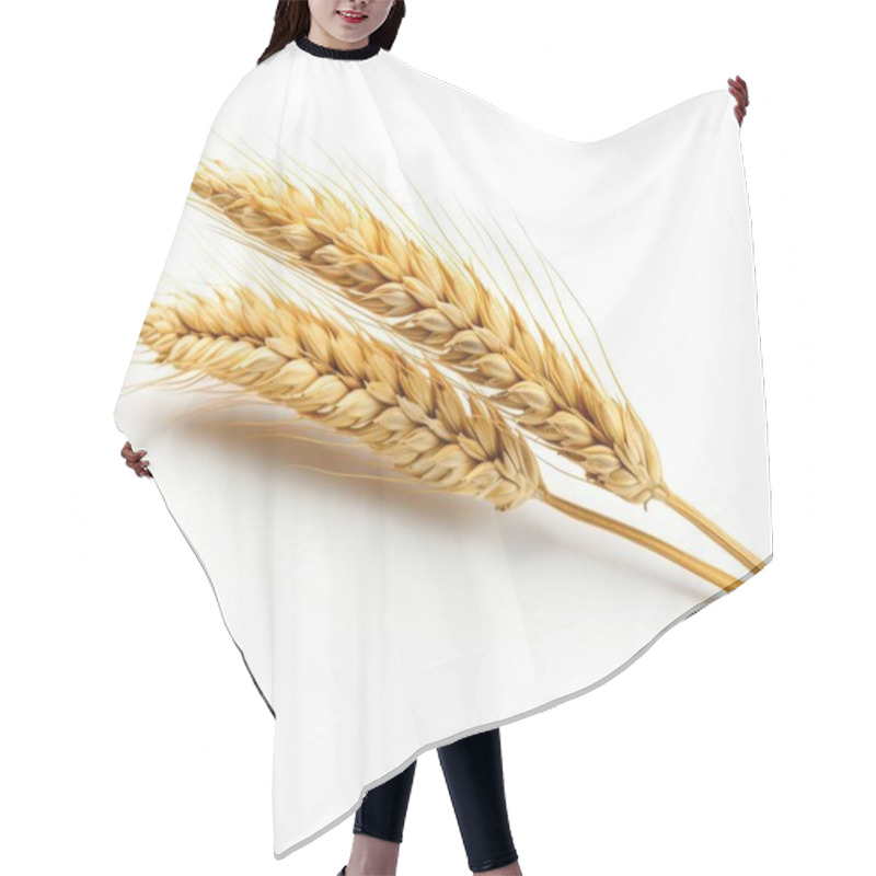 Personality  Two Golden Wheat Stalks Against A White Background, Symbolizing Harvest And Nature's Bounty. Hair Cutting Cape