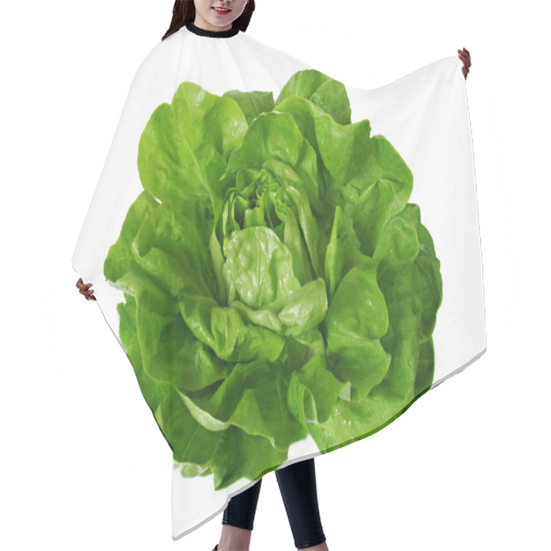 Personality  Green Lettuce Isolated Over White Hair Cutting Cape