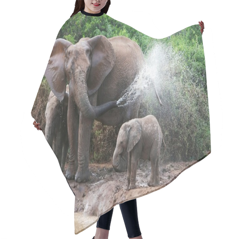 Personality  Elephant Spraying Water Hair Cutting Cape