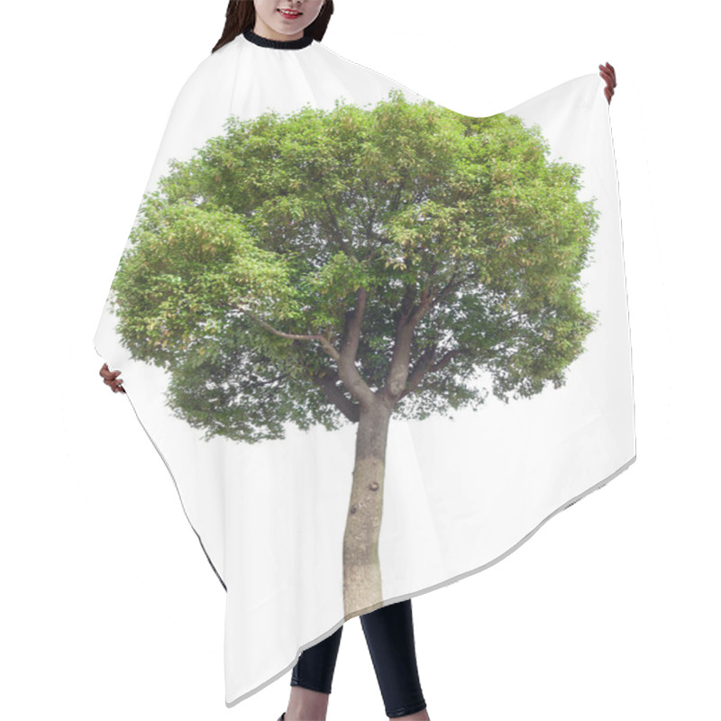 Personality  Small Tree(Camphor) Hair Cutting Cape