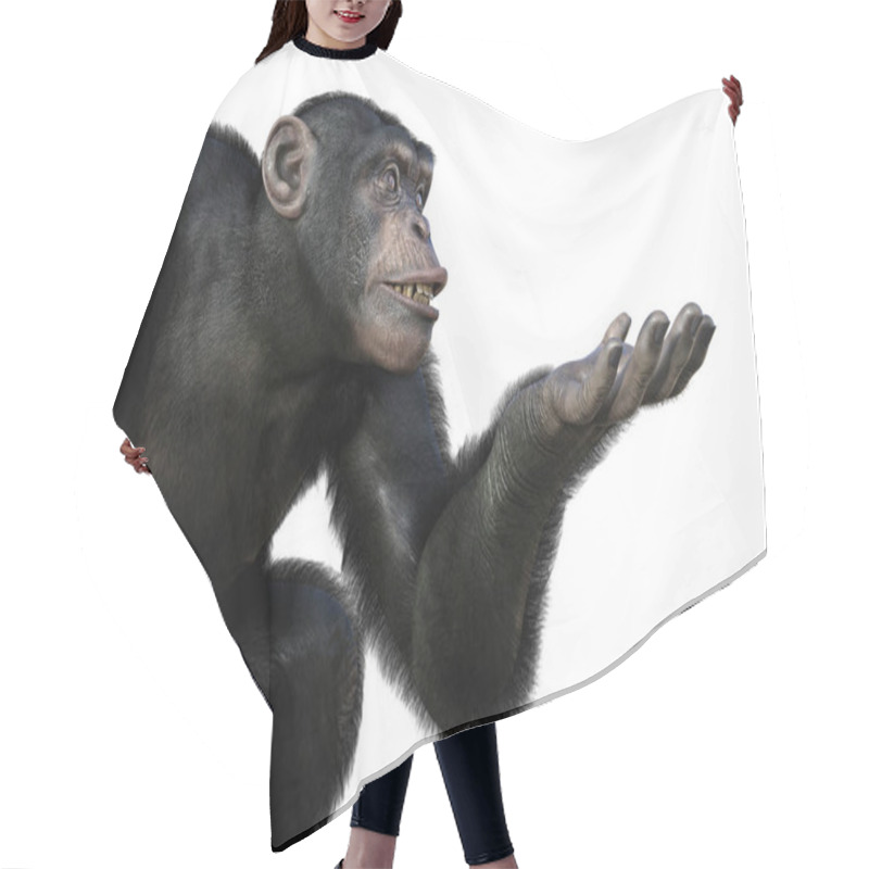 Personality  Chimpanzee Monkey Sitting With One Arm Ready To Hold Something, 3D Illustration Hair Cutting Cape