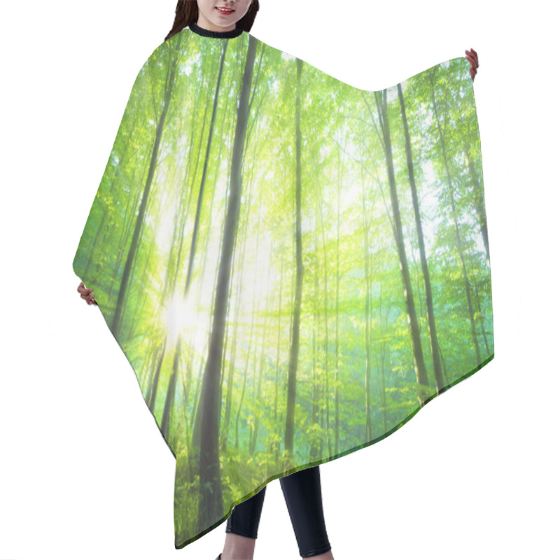 Personality  Sunlight In The Green Forest, Spring Time Hair Cutting Cape