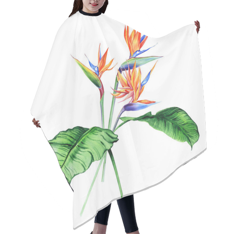 Personality  Watercolor Bouquets With Tropical Plants, Leaves And Strelitzia Flowers. Great For Valentines, Wedding Invites, Hawaii Birthday And Beach Party Hair Cutting Cape