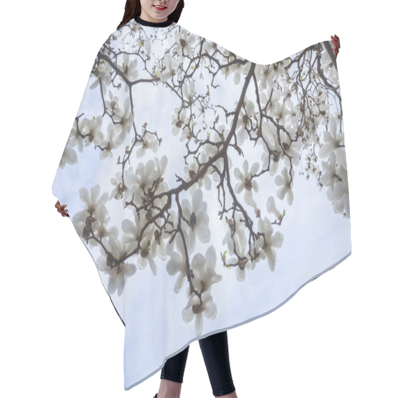 Personality  Magnolia Tree Blossoms Hair Cutting Cape