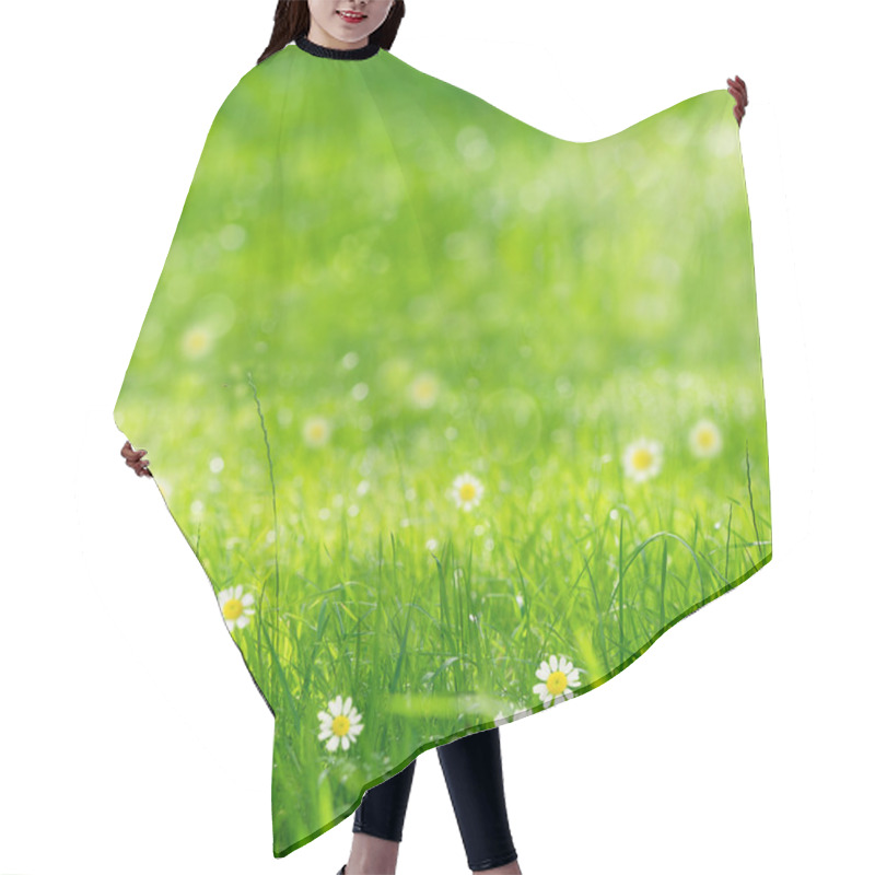 Personality  Green Grass And Daisies In The Sunshine Hair Cutting Cape