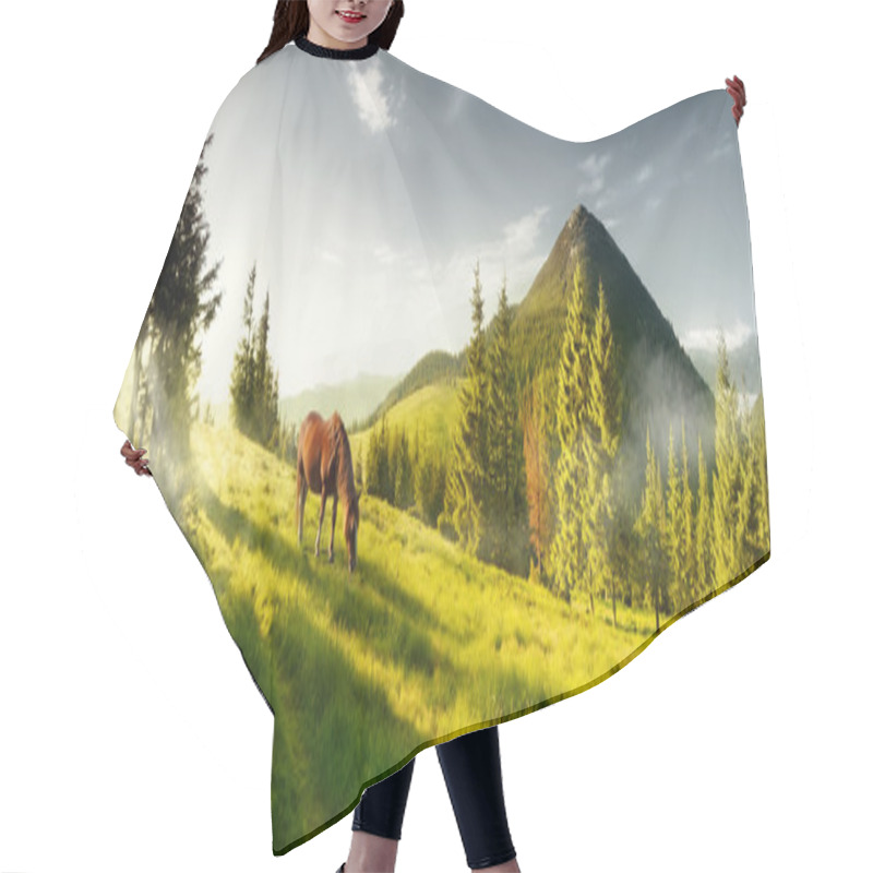 Personality  Horse On A Summer Pasture In The Mountains Hair Cutting Cape