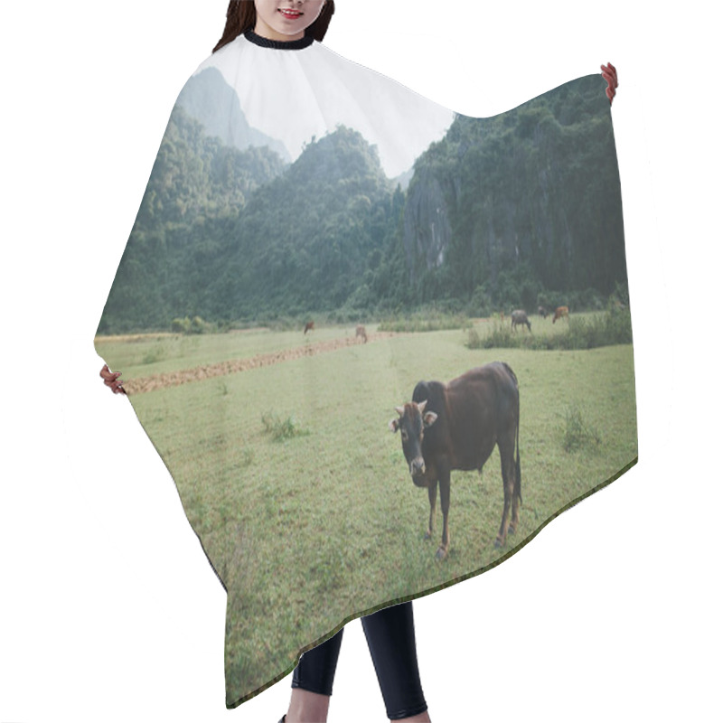 Personality  Cattle Hair Cutting Cape