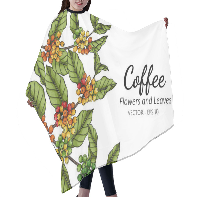 Personality  Coffee Flower And Leaf Drawing Illustration With Line Art On White Backgrounds. Hair Cutting Cape