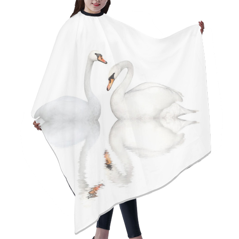 Personality  Two Swans Hair Cutting Cape