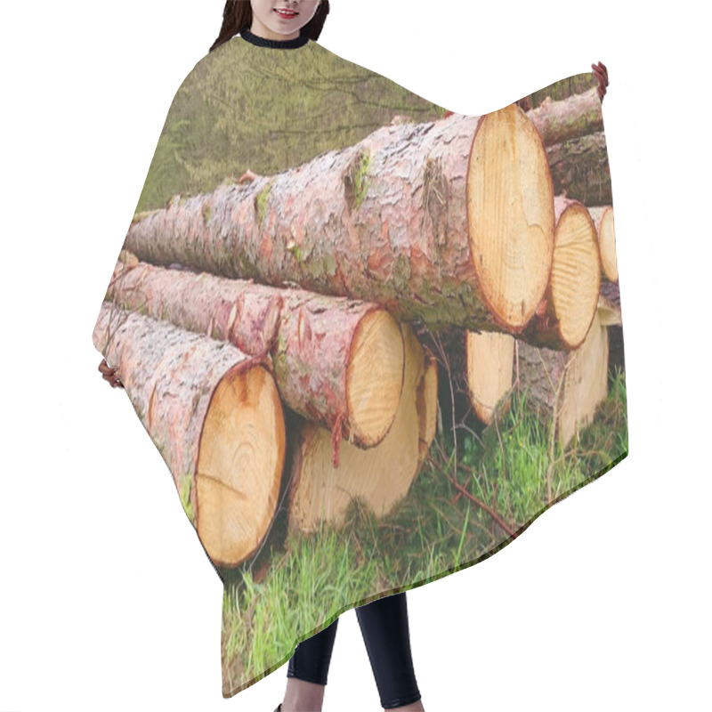 Personality  Cut  Logs In The Forest. Firewood. Nature Hair Cutting Cape