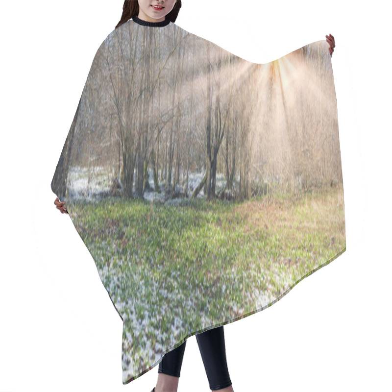 Personality  Alpine Snow Flowers Hair Cutting Cape