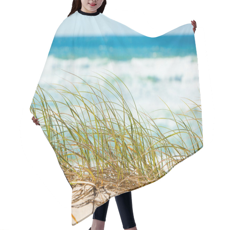 Personality  Green Grass On Sandy Dune Overlooking Beach Hair Cutting Cape