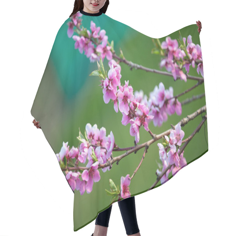 Personality  Blooming Pink Flowers In Spring Hair Cutting Cape