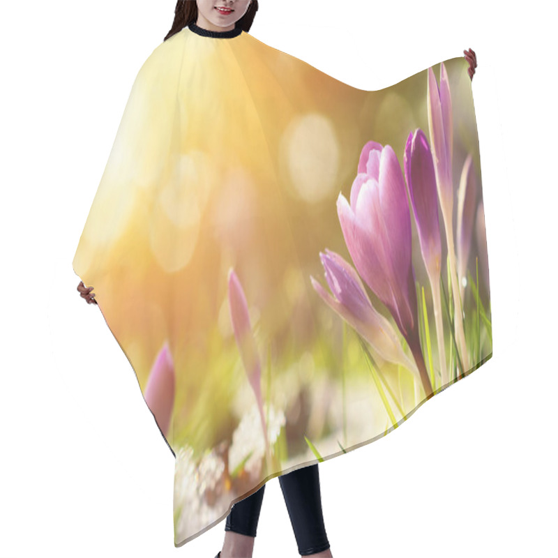 Personality  Crocus Flowers In Snow Awakening In Warm Sunlight Hair Cutting Cape