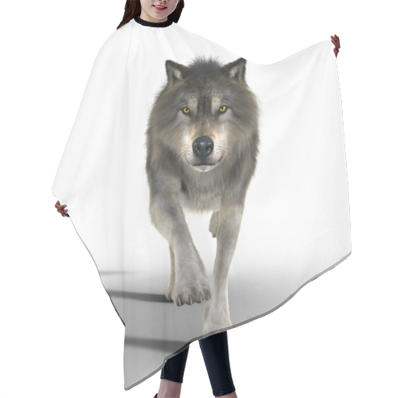 Personality  3D Illustration Rendering Of A Great Brown Wolf Running Towards The Cameral. Particularly Suited To Paranormal, Wildlife, Horror, Thriller And Many Other Genres Of Book Cover Art. One Of A Series. Hair Cutting Cape