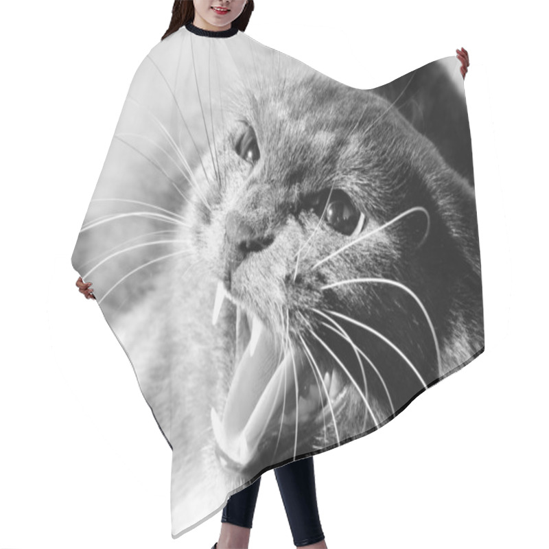 Personality  Cat. Hair Cutting Cape