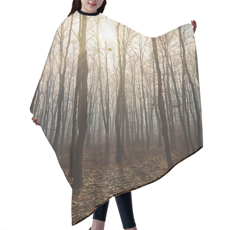 Personality  Foggy Day In A Oak Forest In Autumn Time In Hungary Hair Cutting Cape