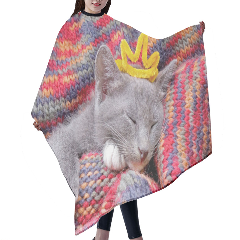 Personality  Cute Kitten With Crown On Head Sleep On Knitting Sweater Hair Cutting Cape