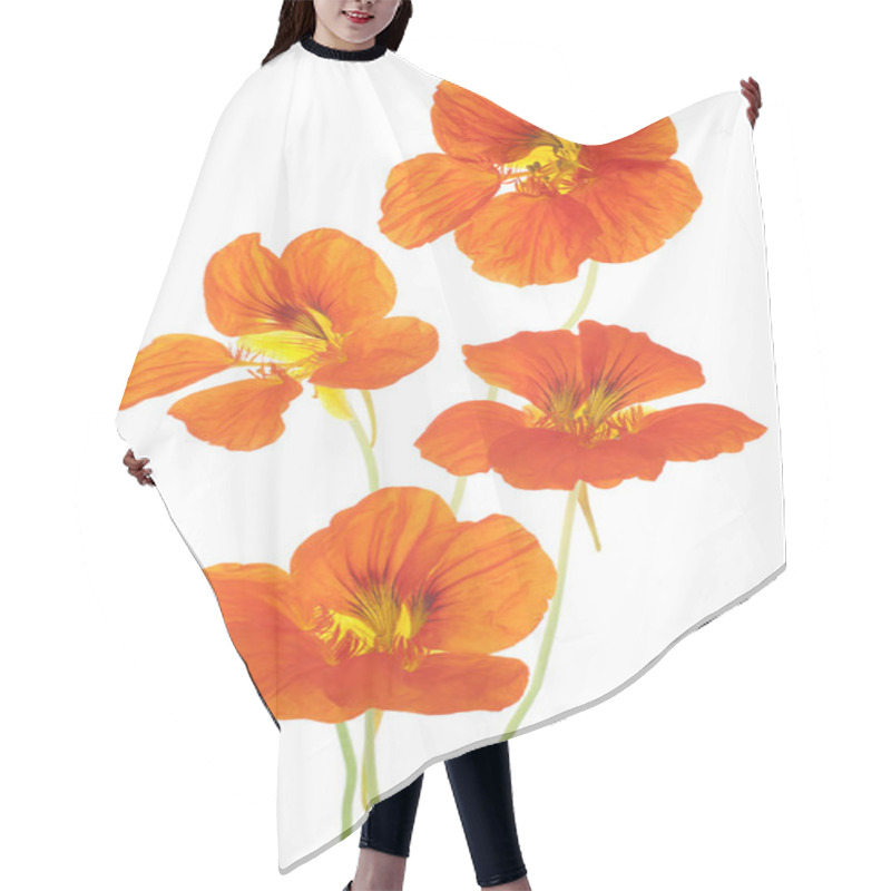 Personality  Nasturtium Hair Cutting Cape