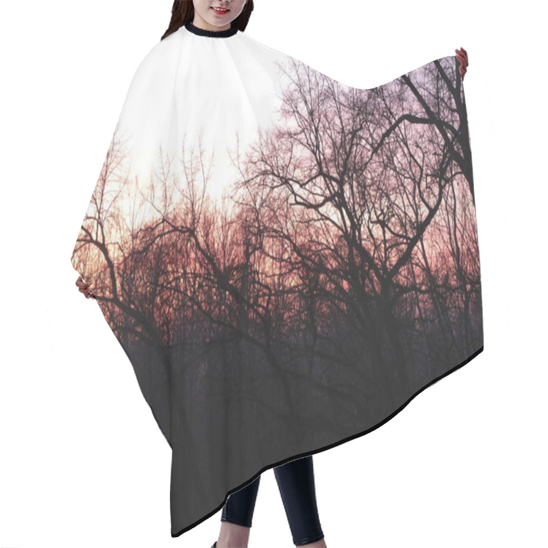 Personality  The Silhouette Of A Forest Scene With Intertwining Tree Branches During A Vivid Sunset. The Contrast Of The Dark Branches With The Vibrant Sky Adds Depth And An Artistic Touch To The Composition Hair Cutting Cape