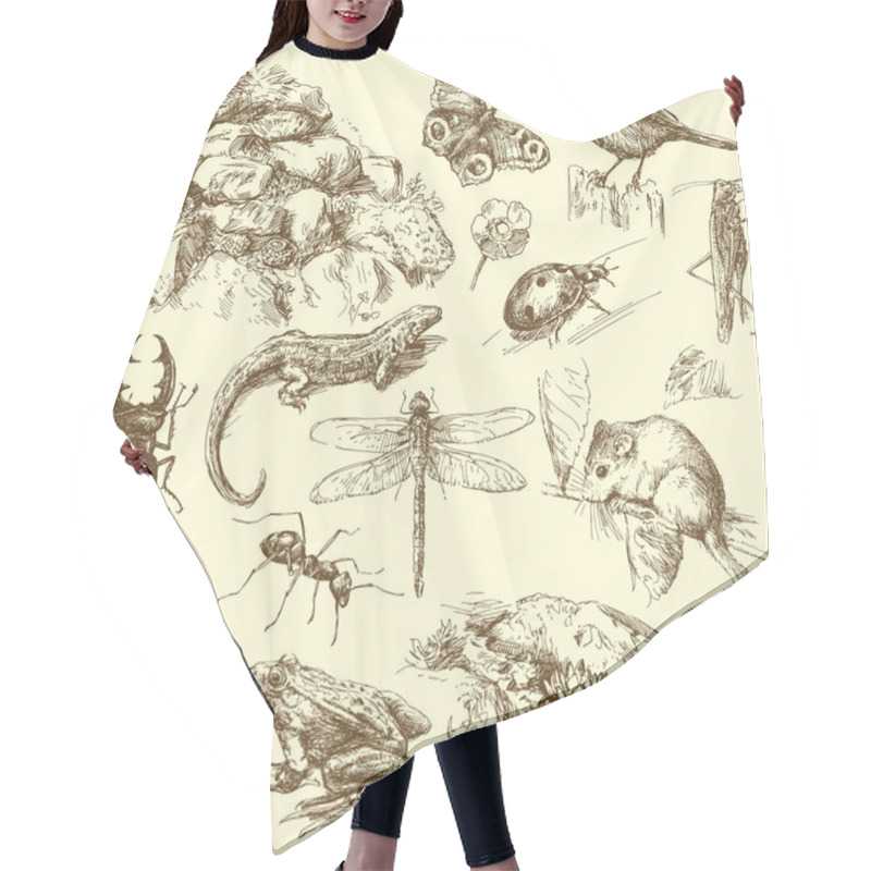 Personality  Garden Animals, Insect Hair Cutting Cape