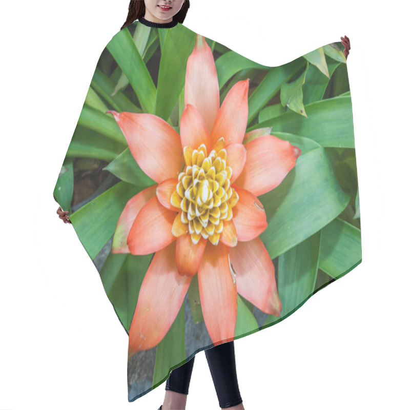 Personality  Flowers Guzmania Hair Cutting Cape