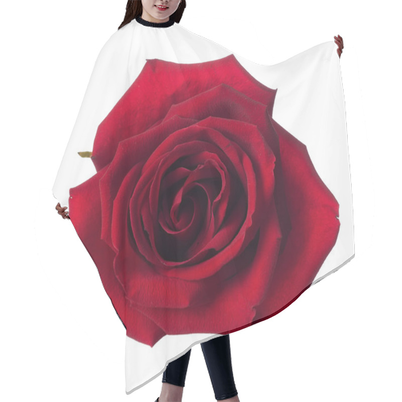 Personality  Red Rose Hair Cutting Cape