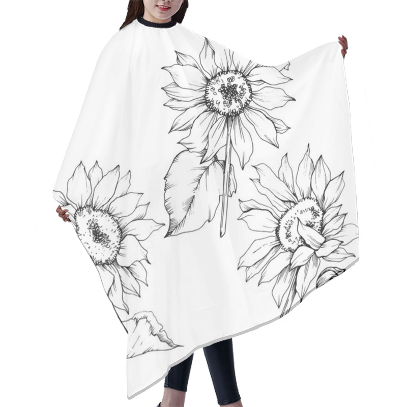 Personality  Vector Sunflower Floral Botanical Flowers. Black And White Engraved Ink Art. Isolated Sunflower Illustration Element. Hair Cutting Cape