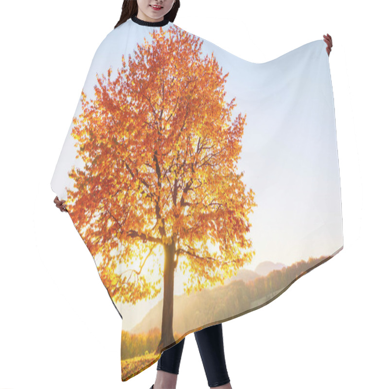 Personality  Autumn Rural Scenery With Mountains, Forests And Fields. There Is A Lonely Lush Tree On The Lawn Covered With Orange Leaves Through Which The Sun Rays Are Shining. Hair Cutting Cape