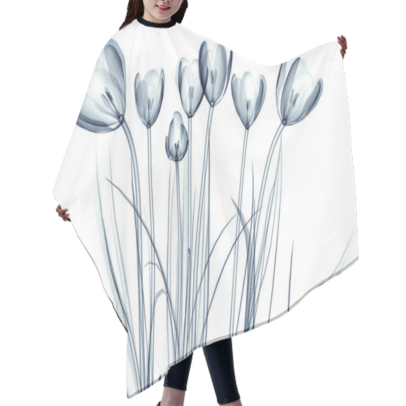 Personality  X-ray Image Of A Flower Isolated On White , The Crocus Hair Cutting Cape