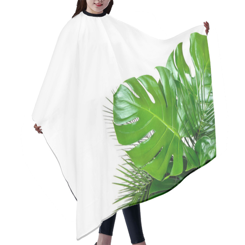 Personality  Close Up Of Bouquet Of Various Fresh Tropical Leaves On White Ba Hair Cutting Cape