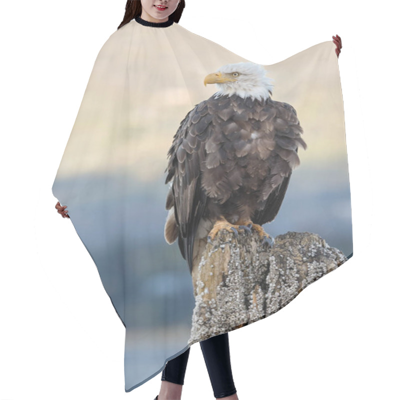 Personality  American Bald Eagle Hair Cutting Cape