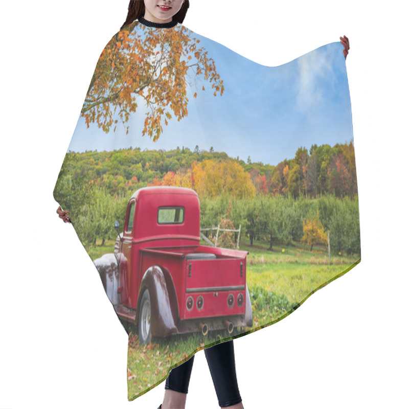 Personality  Old Antique Red Farm Truck In Apple Orchard Against Autumn Landscape Background. Blue Sky On A Sunny Fall Day In New England. Hair Cutting Cape