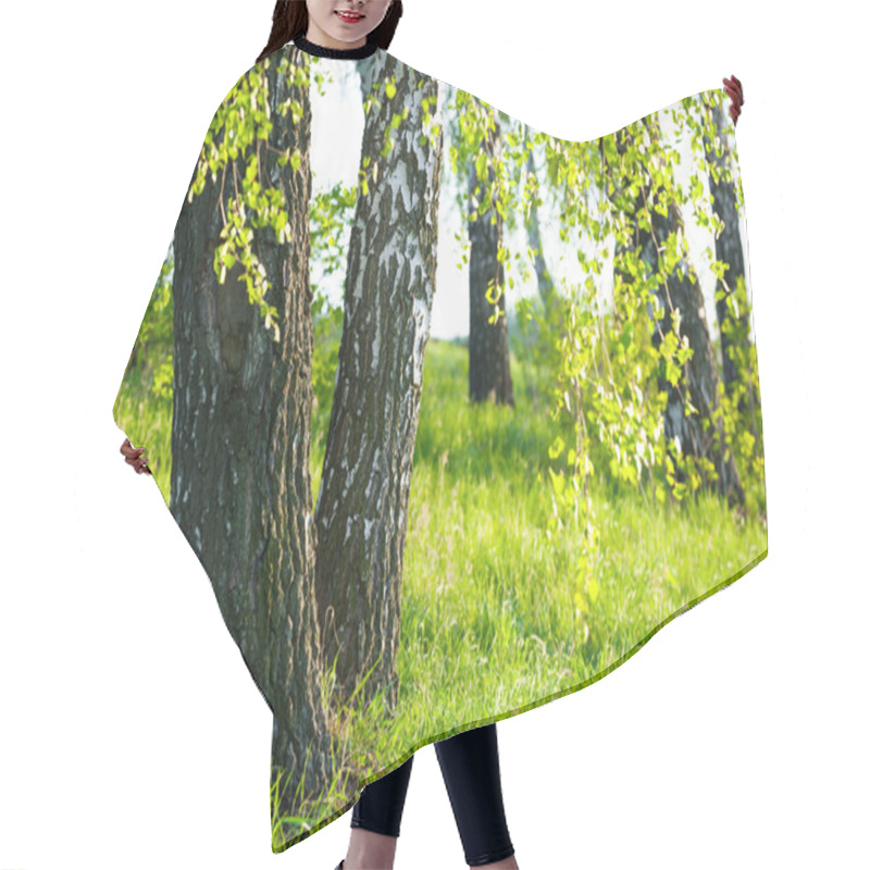 Personality  Birch Trees Hair Cutting Cape