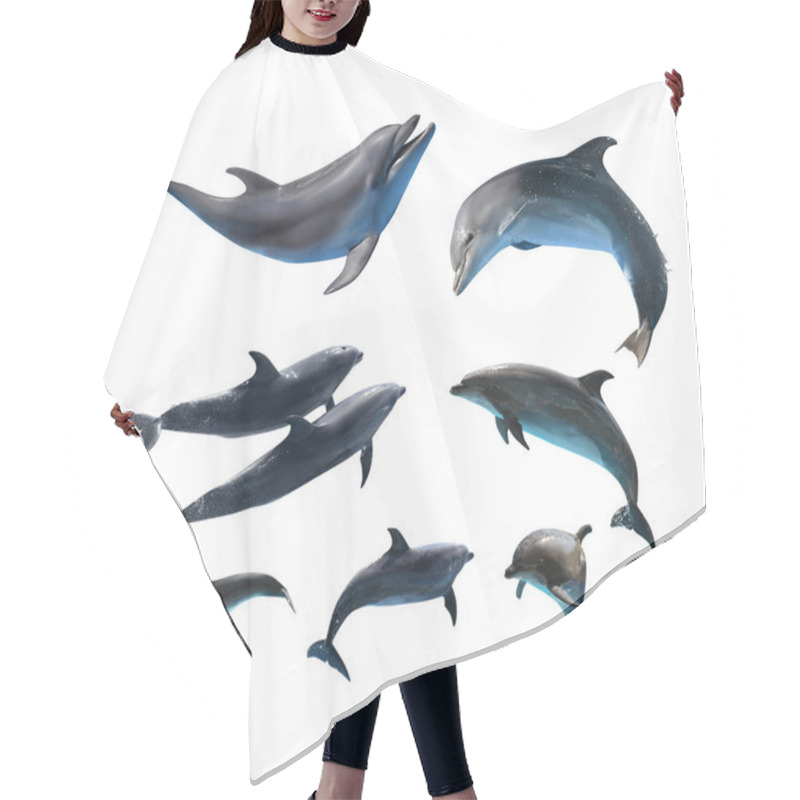 Personality  Beautiful Grey Bottlenose Dolphins On White Background, Collage Hair Cutting Cape