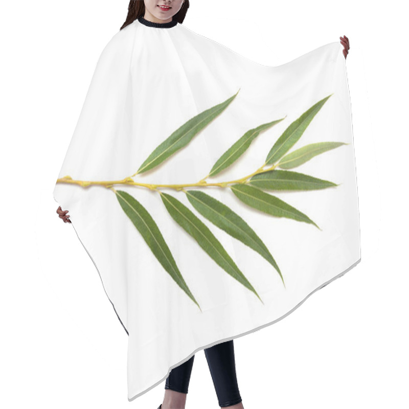 Personality  Willow Weeping Tree Leaves Isolated On White Background Hair Cutting Cape