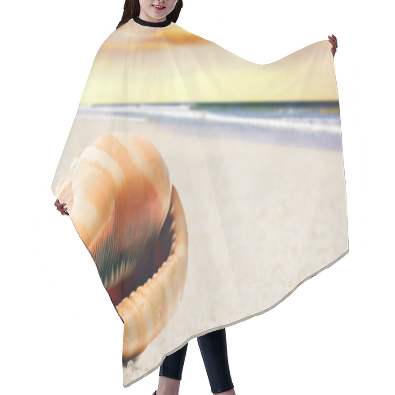 Personality  A Beautiful Perfectly Shaped Sea Shell On The Sandy Beach Hair Cutting Cape