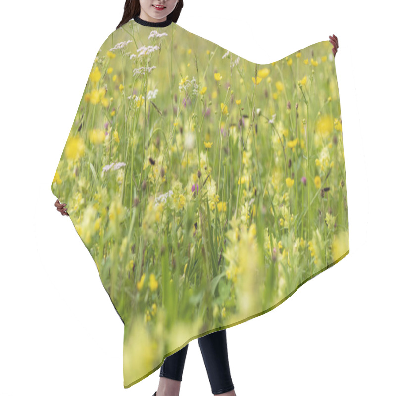 Personality  Close-up Of Blooming Flowers In Meadow At Spring Hair Cutting Cape