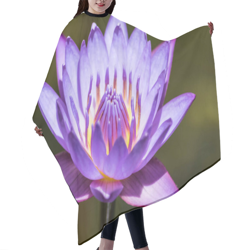 Personality  Water Lily Or Lotus Flower. Hair Cutting Cape