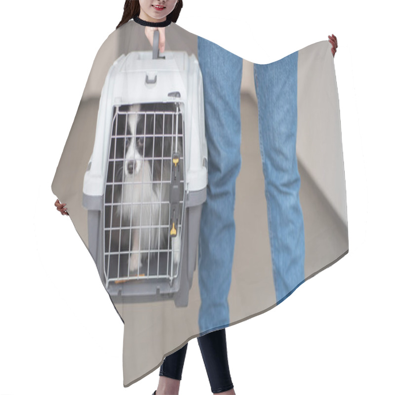 Personality  A Woman Is Holding A Travel Cage With A Dog Inside. Holidays With A Pet. Papillon Dog Butterfly. Hair Cutting Cape