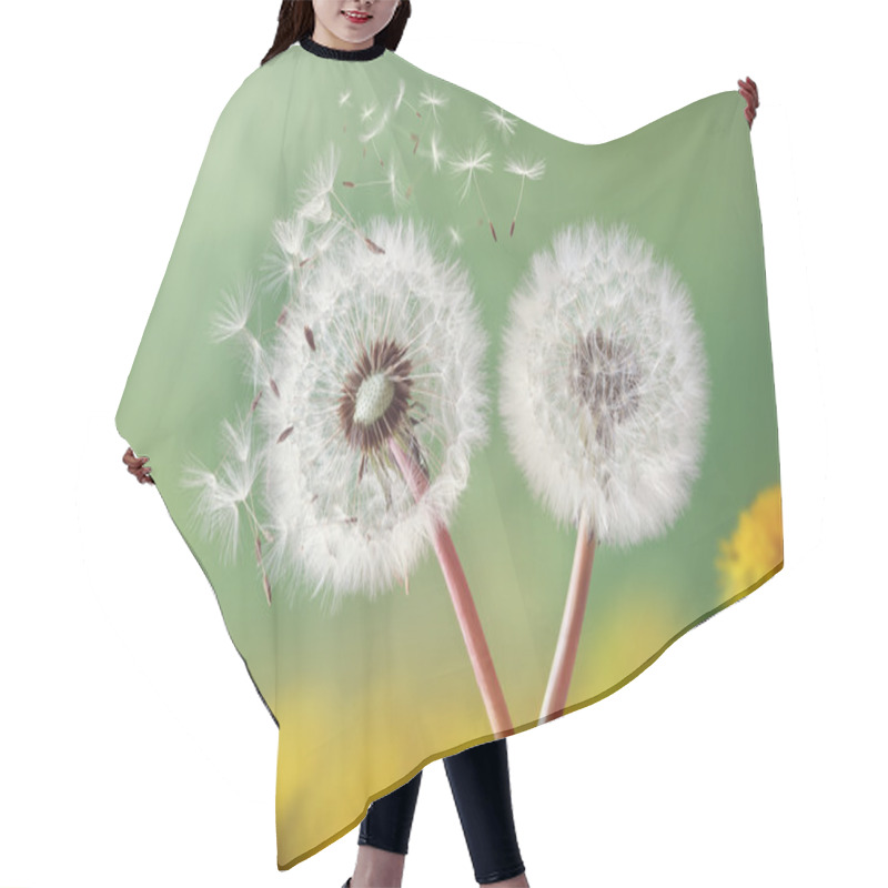 Personality  Dandelion Clock In Morning Light Hair Cutting Cape