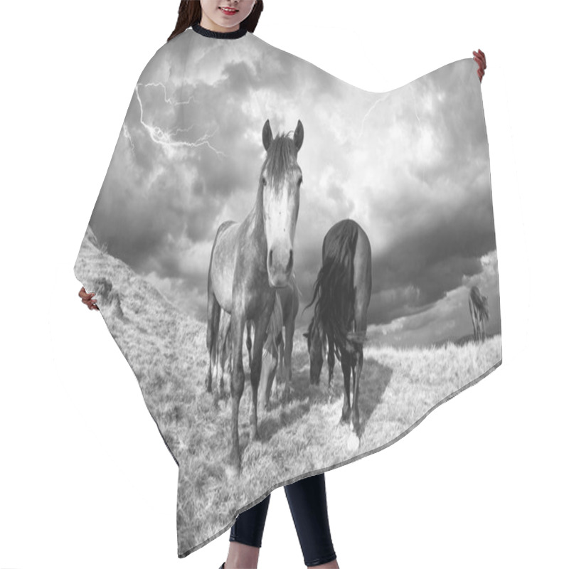 Personality  Horses In The Storm In Mountains Hair Cutting Cape